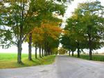 Country Road Near Mildmay Ontario, Canada