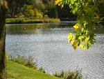 Otter Creek in Mildmay, Canada