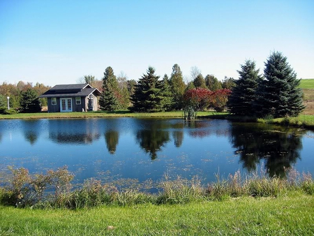 Quiet Pond - sky, house, pond, water