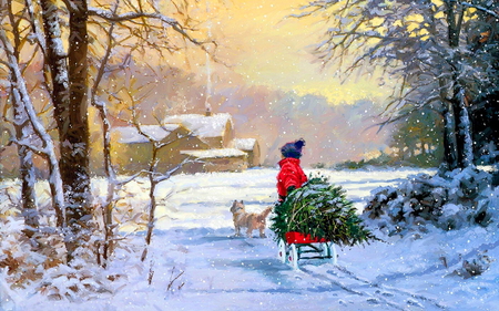 Perfect tree - home, boy, dog, snow, winter, tree, christmas, country