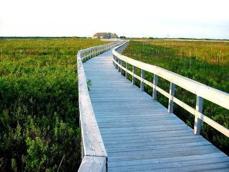 Winding Boardwalk to Home - field, board, home, walk