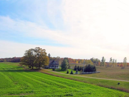 Farmers Homestead - field, sky, house, trees