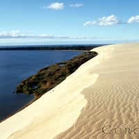 Beautiful sand field of Curonia