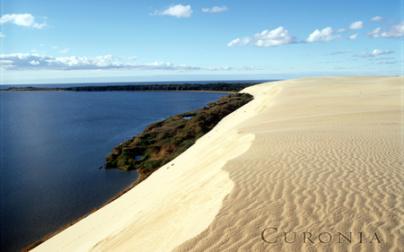 Beautiful sand field of Curonia - beauty, sky, beach, photography, colorful, field, perfect, amazing, pretty, desert, sand, cute, kopos, landscape, dunes, nature, curonia, beautiful, sea