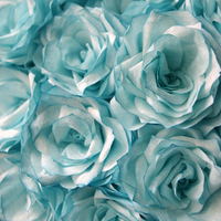 Beautiful light blue colored roses..