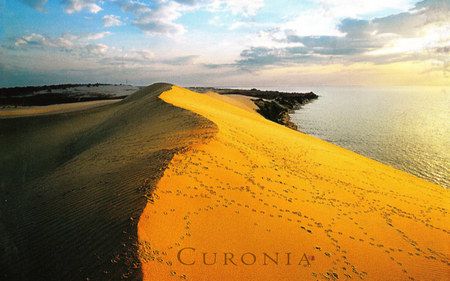 Colorful landscape of Curonia - pretty, dunes, amazing, beach, landscape, perfect, sand, field, sky, kopos, desert, beautiful, photography, sea, beauty, colorful, nature, cute, curonia