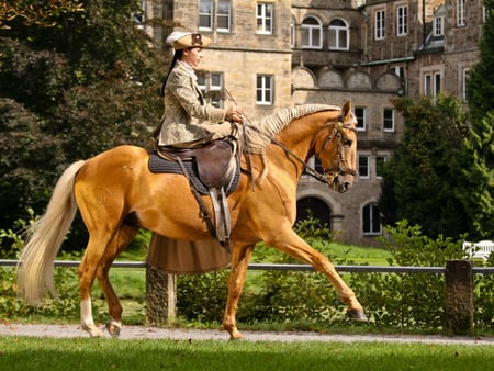 Cool Rider and Horse :) - horses