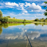 Nature mirror