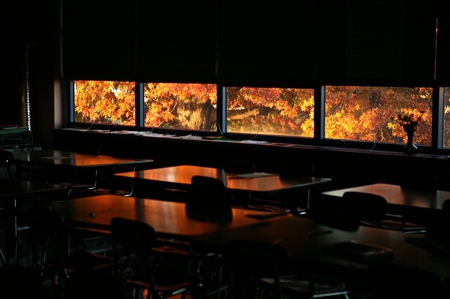 Autumn Through A Window II - pretty, scenery, window, room, tranquil, empty, golden, through, abstract, photography, fall, nature, autumn, seasonal, classroom, 3d, peaceful