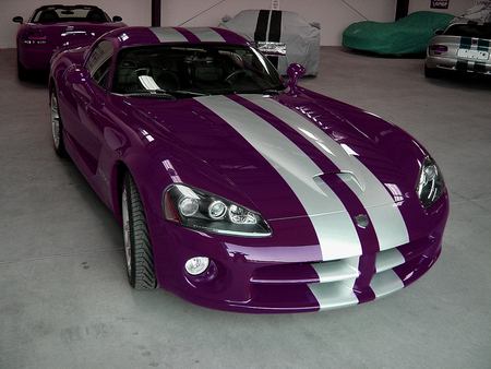 Dodge viper SRT-10 - puple, 10, car, 2011, dodge, 11, viper