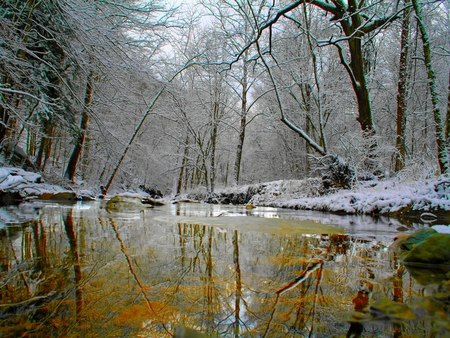 WINTER LAND - trees, forest, frost, river, winter, snowy, creek