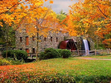 Mill - fall, watermill, trees, autumn, mill, forest, leaves