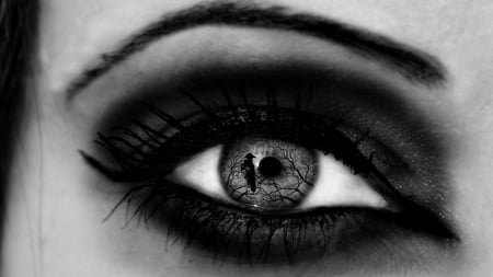 Eye See You - special, see, photoshop, beautiful, black and white, eye, raven