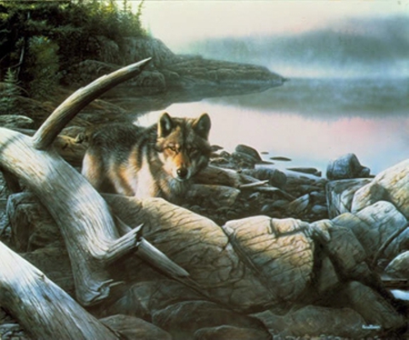 wolf of the seas - wolves, wolf, beauty, ocean, seas