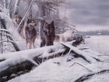 wolf pack in the snow - white, wolf, wolves, trees, paintings, snow