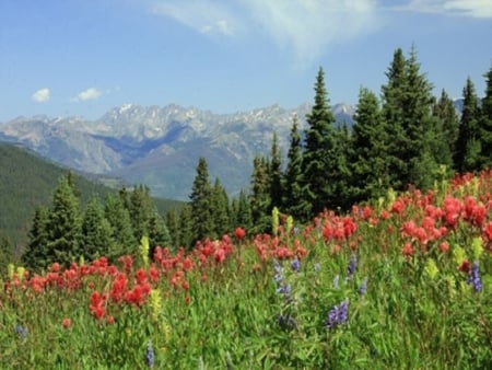 Colorado Mountains