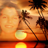 Marleen, Dagboek van mijn Apenjaren - www.lulu.com - Tropical sunset