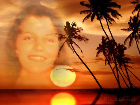 Marleen, Dagboek van mijn Apenjaren - www.lulu.com - Tropical sunset - aalst, marleen, verhaal, jeugdliefde, dagboek, apenjaren, wallpaper, lulu com