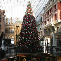 Tallest Christmas tree at West Edmonton Mall , Alberta 