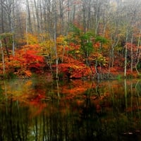 AUTUMN REFLECTION