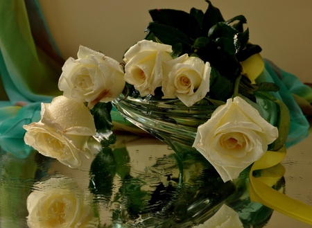 Beauty and tenderness - beauty, veil, roses, water drops, wet, tenderness, wonderful, still life, vase, cloth, sweet, flowers, ribbon, harmony