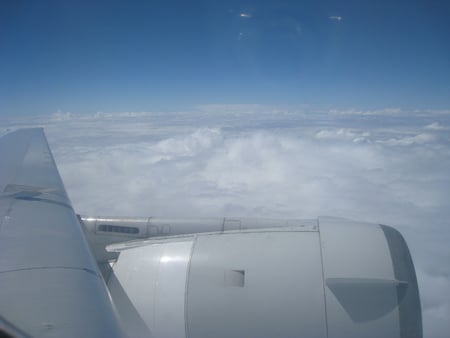 Portside View - port, sky, jet, wing