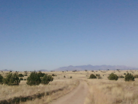 Desert - mountains, desert road, desert, trees