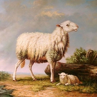 Lamb