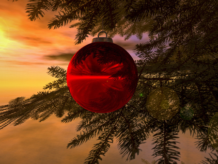 Christmas Morning - nature, ornament, christmas, red