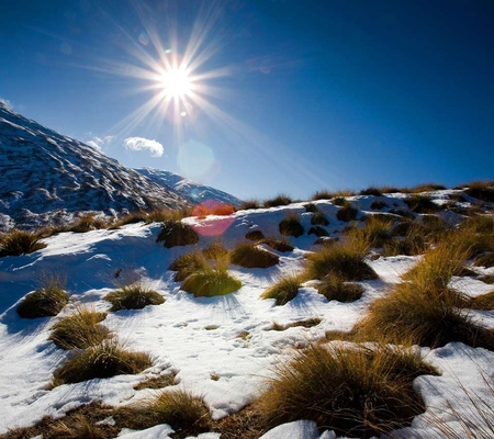 Snowy Summit in New Zealand - snowy sun, place of interest, summit, beauty, sunrise, grass, forest, new zealand, nature