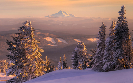 casting a glow - trees, sun, photography, winter, sunset, mountains, nature, evening, snow, dusk