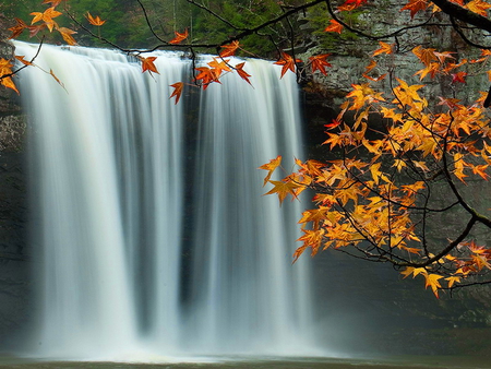 Waterfall - nature, branches, fall, autumn, leaves, waterfall