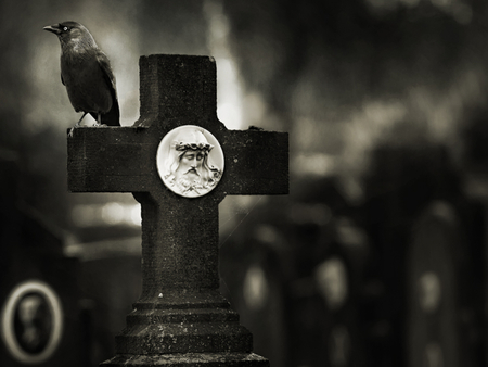 LONELY PLACE - garve, crow, photography, bw, place, darkness