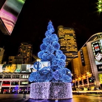 Christmas-tree-in-downtown