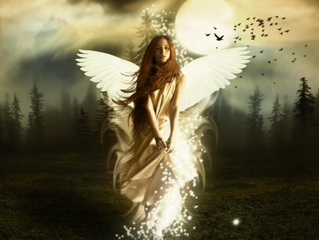 Angelic Apparition - ghost, beautiful, apparition, angel, night, pure, forest, fantasy, white, hope, wings, cloudy, full moon