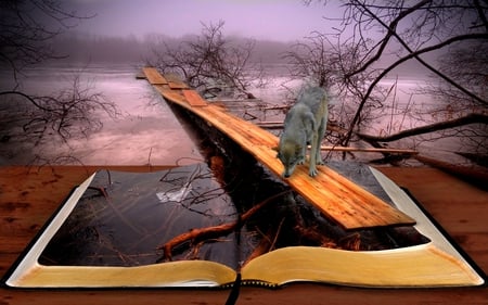 A STORY IN REALITY - wolf, book, swamp, forest, art