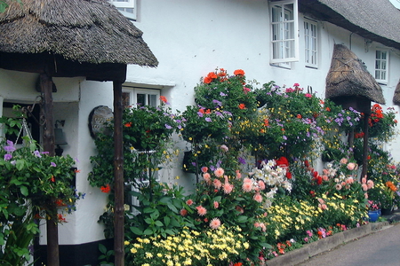 cottage garden - flowers, house, roses, garden, cottage