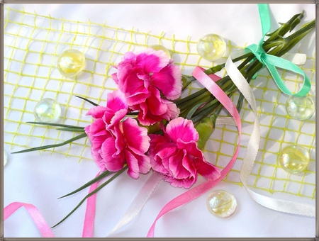 GIFT - nature, flowers, carnation, gift