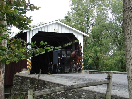 Horse and Buggy - sky, bridge, horse, buggy