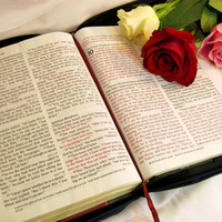 Bible with three lovely roses.