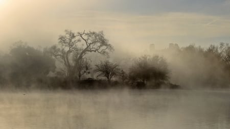 mist - nature, morning, epic, morningmist, mist