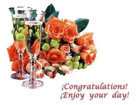 Congratulations - celebration, congratulation, holiday, wine, rose