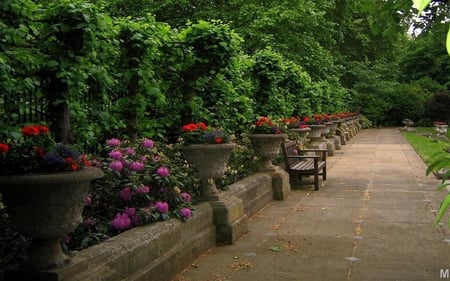 afternoon in london - afternoon, bench, london