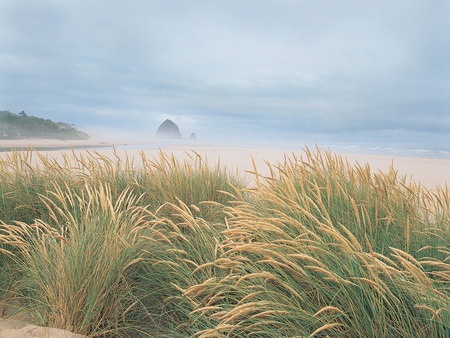 Harvest - harvest, natuire