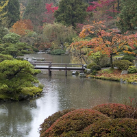 Zen Autumn Garden