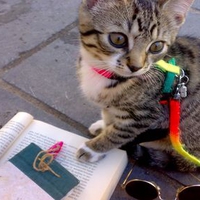 my cat Esther