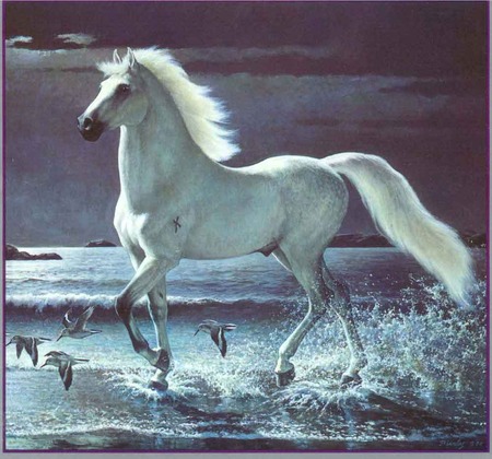 Majestic Andalusian Horse - horses, animals, painting