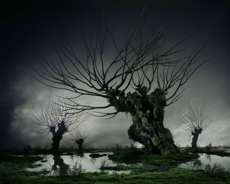 Massard - tree, abstract, dark, massard