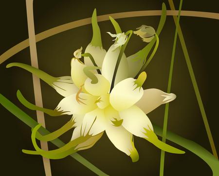 Yellow flower - flower, abstract