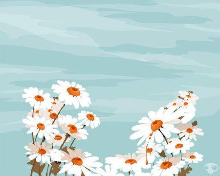 Daisies - flowers, nature